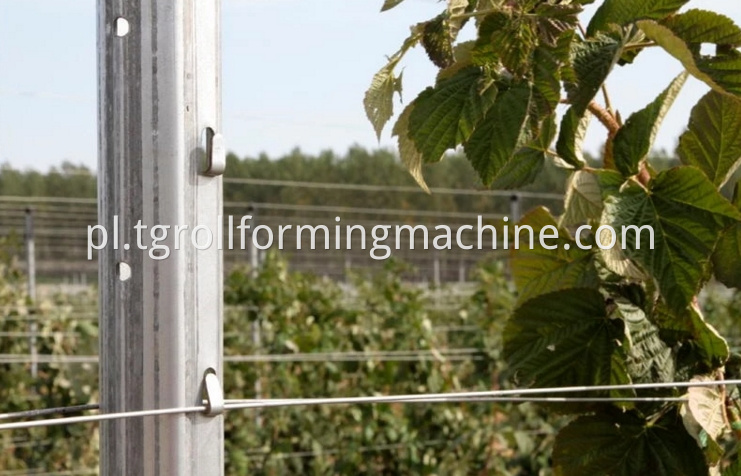 Galvanized Steel Vineyard Trellis Post Roll Forming Machine